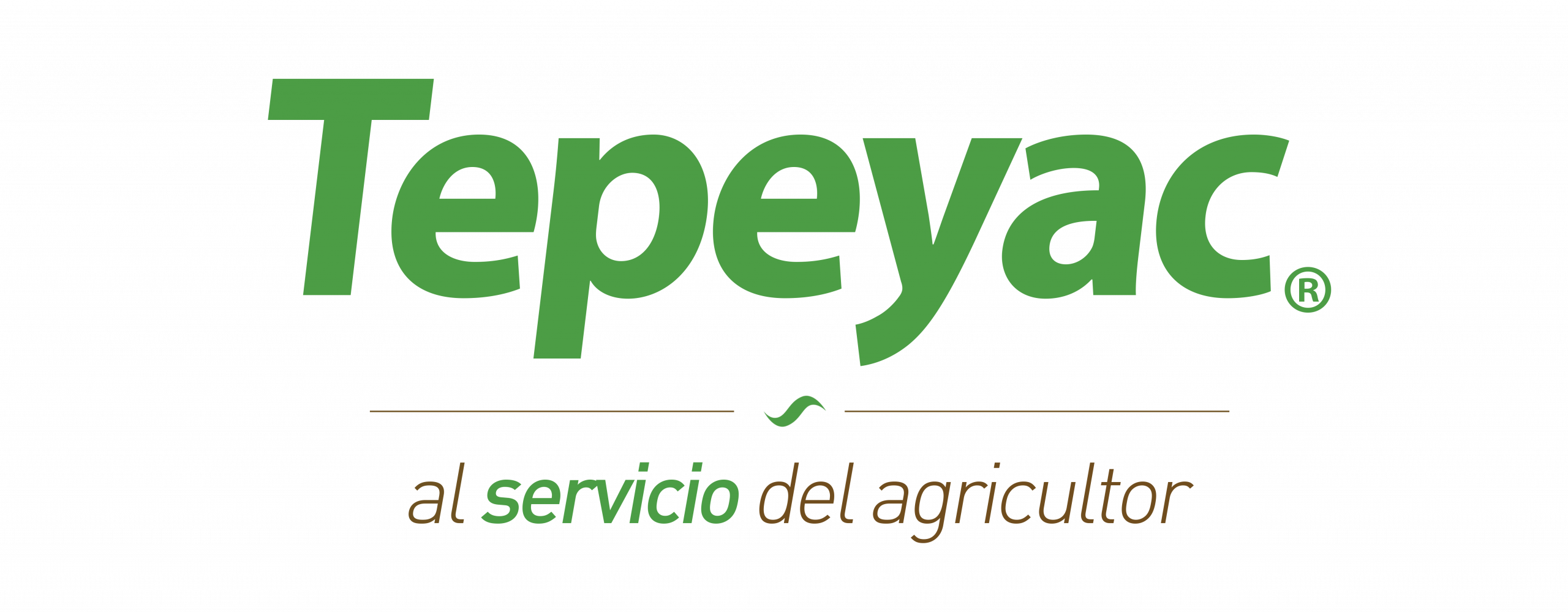 Tepeyac